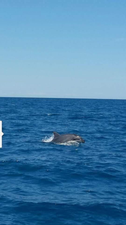 Brezza Marina Panzió Marina di Carrara Kültér fotó
