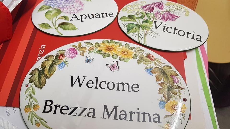 Brezza Marina Panzió Marina di Carrara Kültér fotó